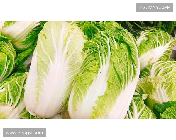 探索白菜网：新鲜蔬菜在线购买的最佳选择