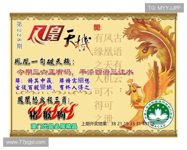 探索澳门图库AMTKAPP：丰富多彩的视觉盛宴