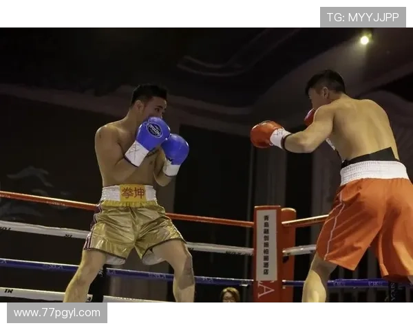 中韩拳击比赛：两国拳手的巅峰对决与精彩瞬间